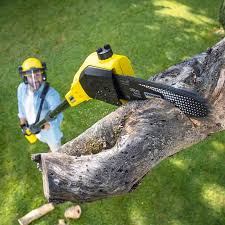 Best Weed Control  in Oreana, IL